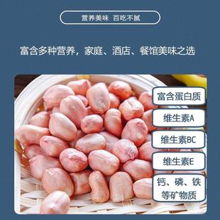 2024年山东平度大颗粒农家白沙花生仁生新货花生米新鲜去壳红粉皮