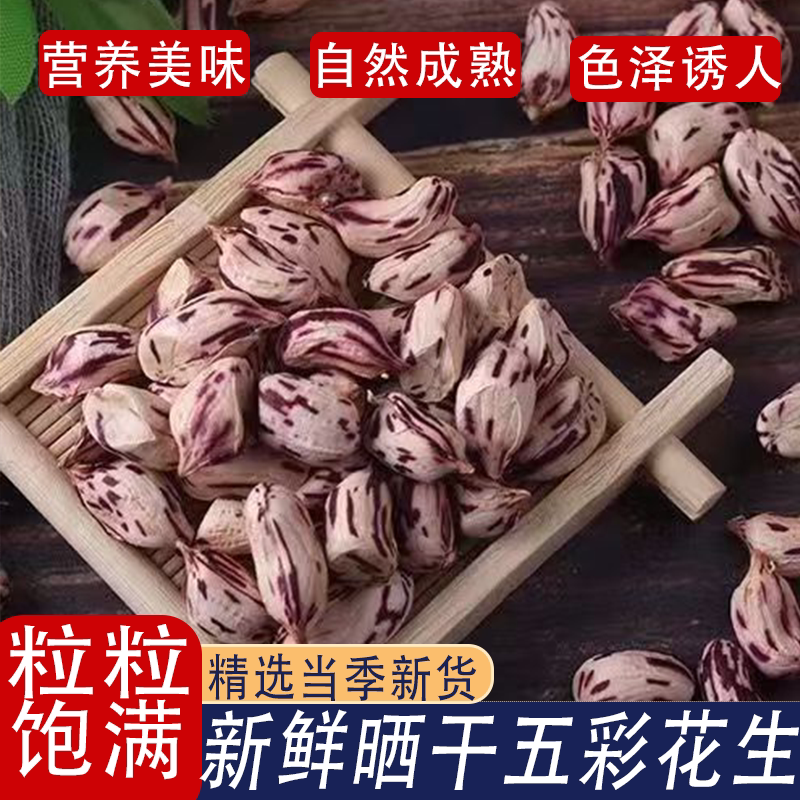 云南特产七彩花生新鲜晒干带壳花生米皮薄易剥超大果仁自然成熟