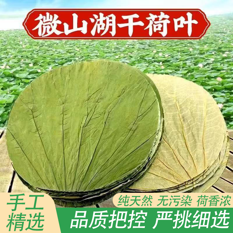 微山湖荷叶圆形纯天然无污染糯米鸡荷叶饭木桶饭荷叶鸡自然凉晒