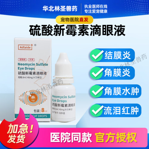 猫狗用硫酸新霉素滴眼液眼睛红肿