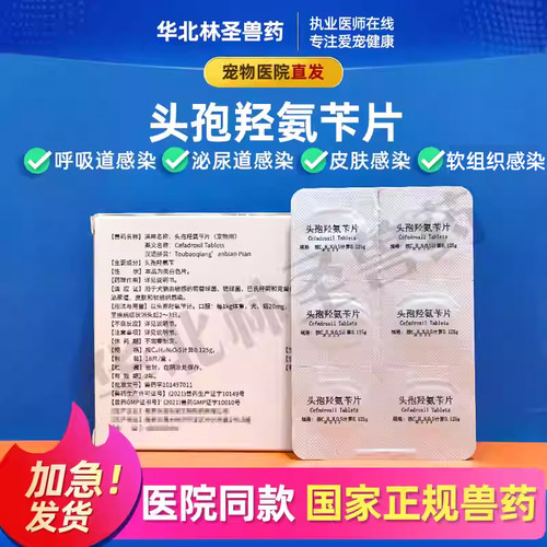 复方阿莫西林粉头孢羟氨苄犬猫感冒流鼻涕咳嗽尿道感染抗菌消炎