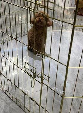 小狗宠物围栏防锈电镀锌工艺养殖铁丝网长方形圆形耐用鸡鸭鹅笼子