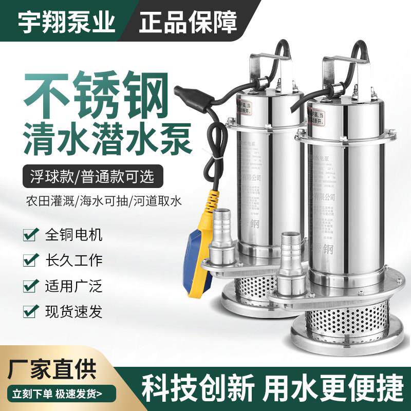 QDX不锈钢潜水泵单相220V小型清水泵1寸高扬程带浮球304抽水泵