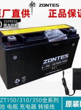 升仕ZT310/350系列胶体10Ah铅酸电池蓄电池摩托车电瓶智能充电器