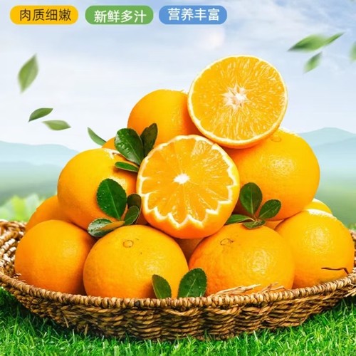 江西赣南脐橙新鲜水果应季水果正宗橙子4.5斤包邮