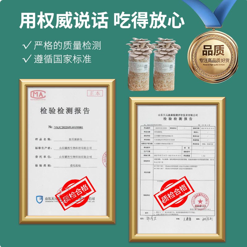 蘑菇种植包家庭自种黑平菇蘑菇菌棒香菇金针菇菌种包袋装食用菌包