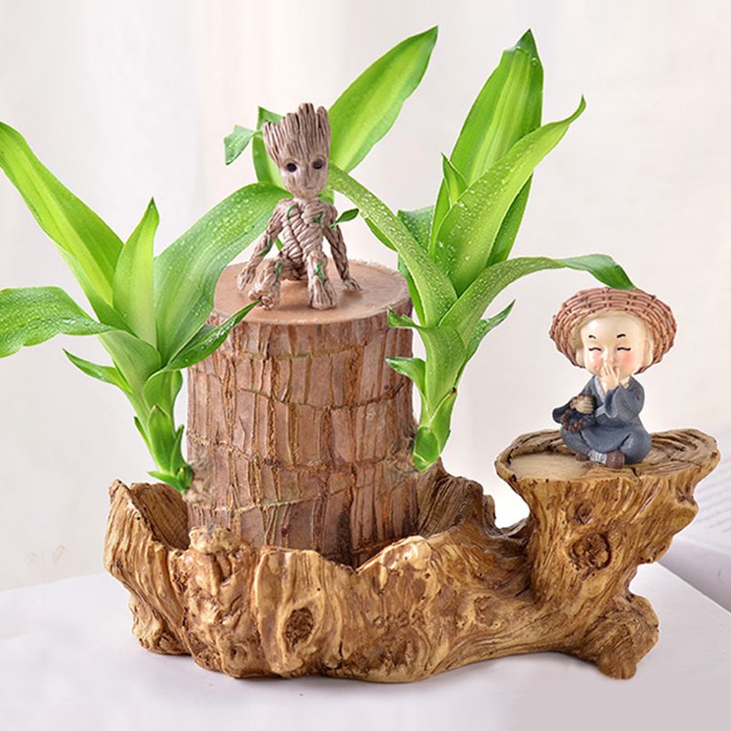 巴西木专用托盘幸运木花盆水培多肉陶瓷盆桌面摆件底座底垫小盆栽