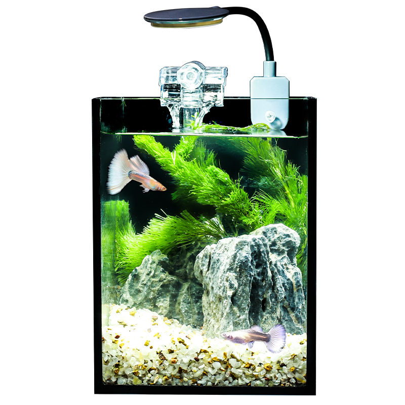 超白玻璃黑胶鱼缸家用客厅小型乌龟缸懒人生态过滤桌面造景金鱼缸