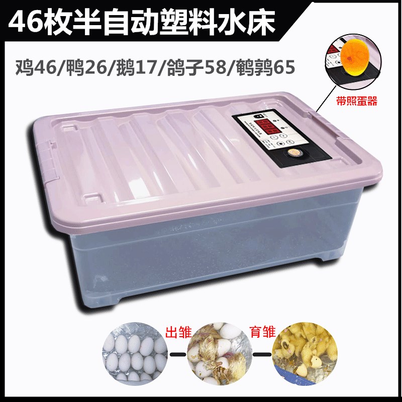 热销智能水床孵化机家用型鸡鸭鹅孵化器44枚小型90枚卵蛋箱全自动