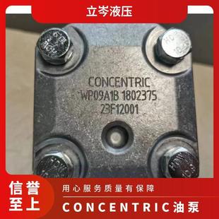WP09A2V110L11GA1 德国油泵 WP09A1 1802135 021304078