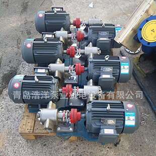 不锈钢齿轮泵KCB55电动高温输油泵立式齿轮泵汽柴油抽油泵机油润