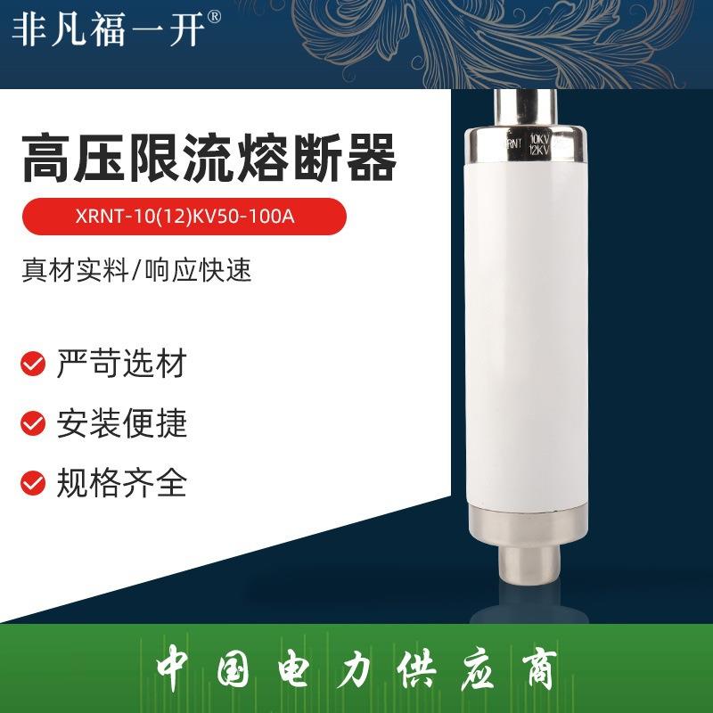 高压限流熔断器XRNT-10(12)KV50-100A保险管高压限流熔断器互感器