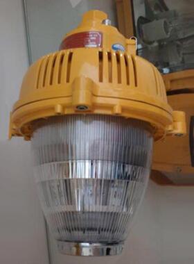 BPC8760-45W LED防爆平台灯 BLED9112免维护LE防爆平台灯