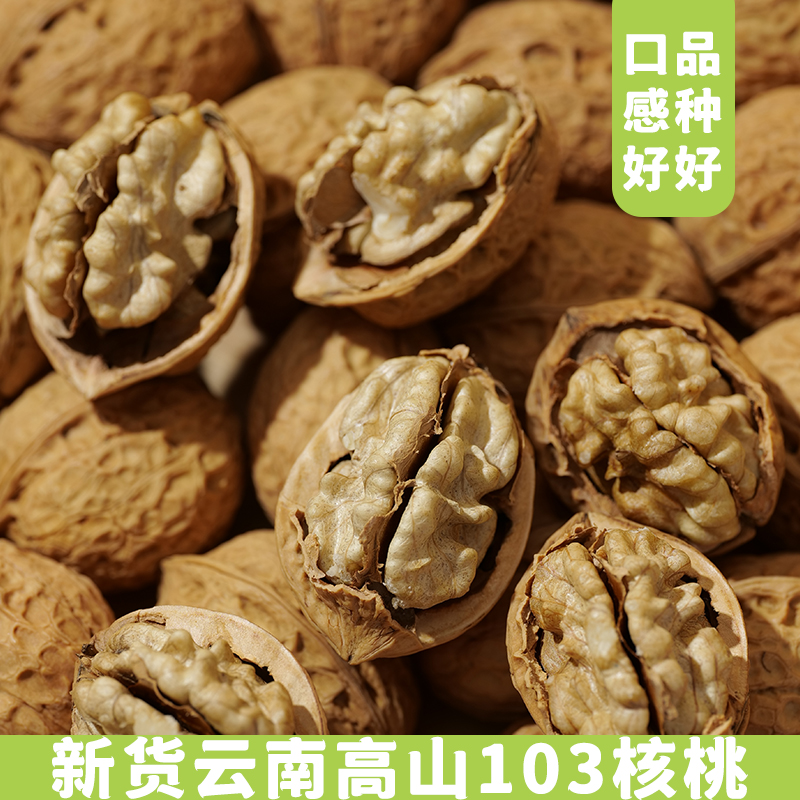 新货纸皮核桃果 云南高山核桃原味生的薄皮核桃坚果零食特产干货