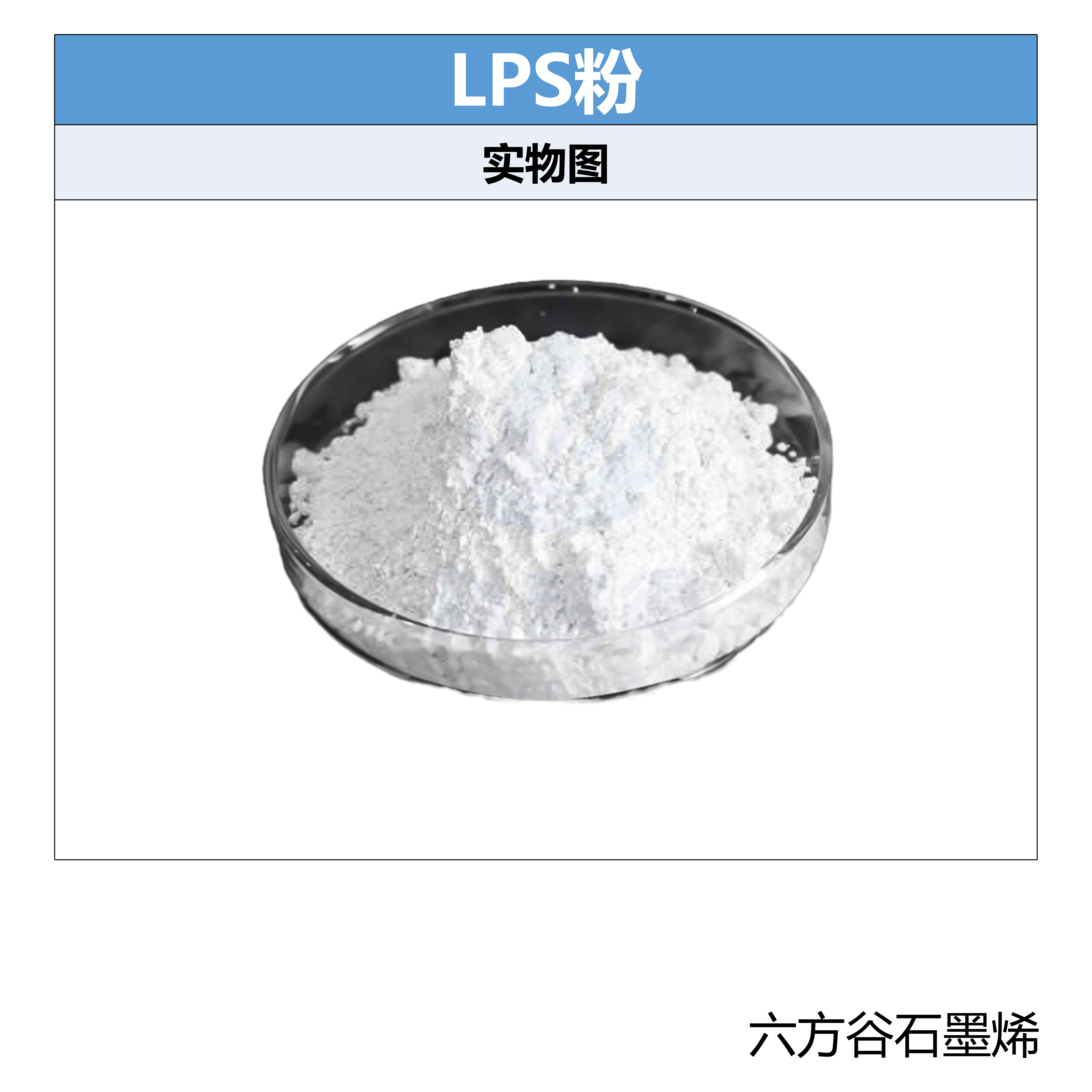 LPS 固态电解质片