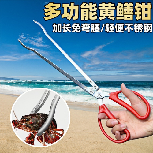 防滑赶海神器防刮伤鱼防脱