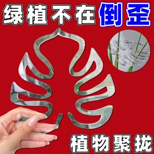 支撑杆防倒伏固定春雨支架固定器枝干固定花盆架园艺绿植架