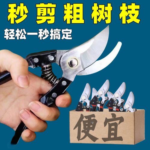 园林剪刀修枝剪园艺果树剪刀