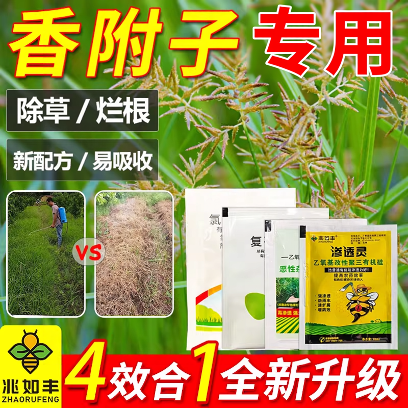 香附子专用烂根除草烂根剂玉米田地果园异形莎梭草科一遍农药清剂