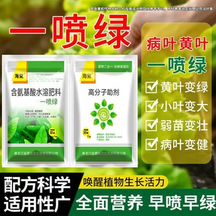 黄叶一喷绿氨基酸叶面肥果树蔬菜花卉黄叶植物中微量元素水溶肥料