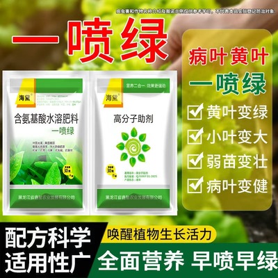 兆如丰黄叶一喷绿壮苗氨基酸水溶