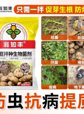 土豆专用拌种剂马铃薯生根剂促进生根分叉催芽剂土豆拌种防虫肥料