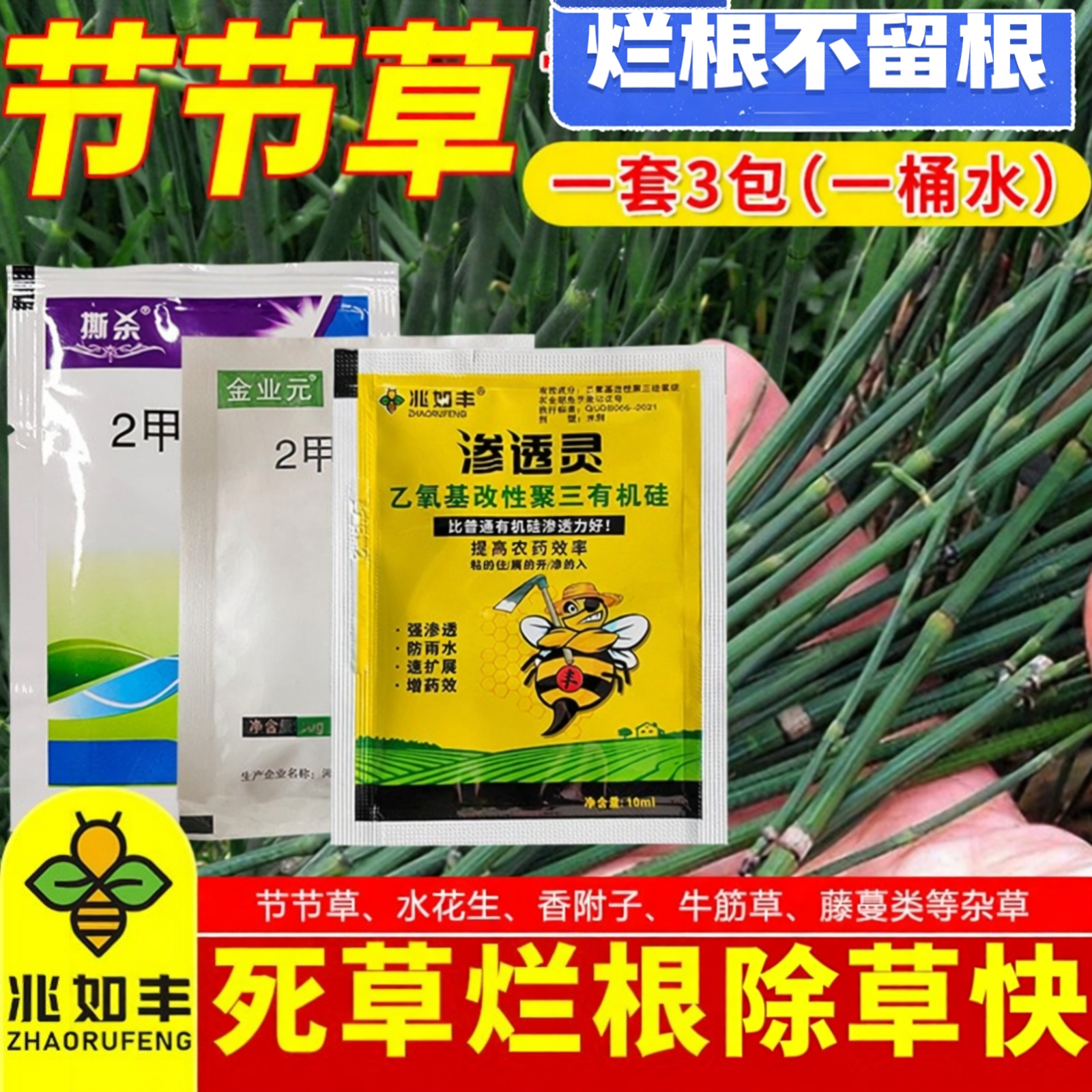 节节草专用除草烂根剂玉米地果园铁路笔管草克强力杀草农药正品