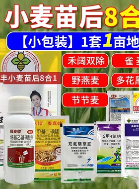 冬小麦苗后专用除草剂套装禾阔双除一季不长草返青后专用农药官旗