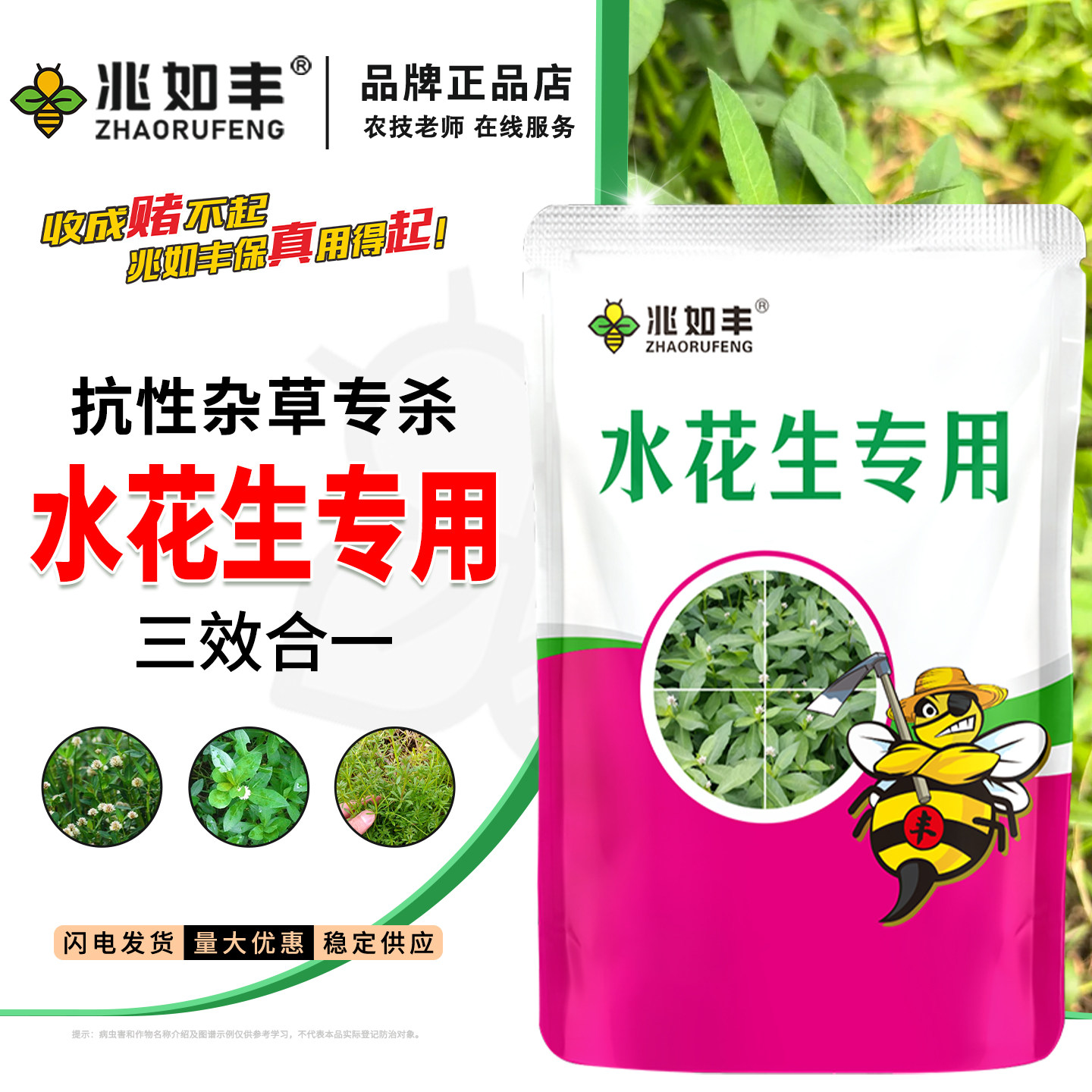 水花生专用升级版除草套装烂叶根