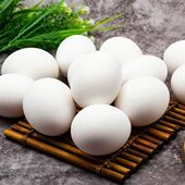 新鲜农家散养白壳鸡蛋谷物喂养鲜鸡蛋现捡现发 包邮 整箱优质白鸡蛋