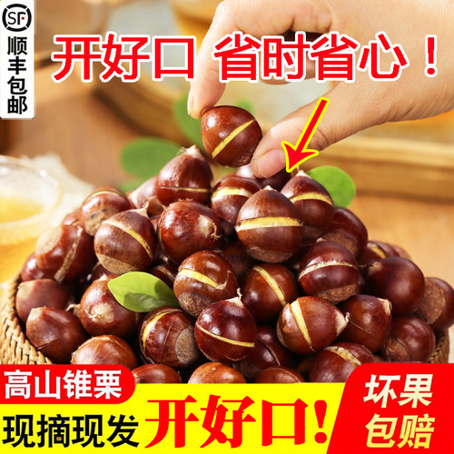 开好口很解压！解放双手！