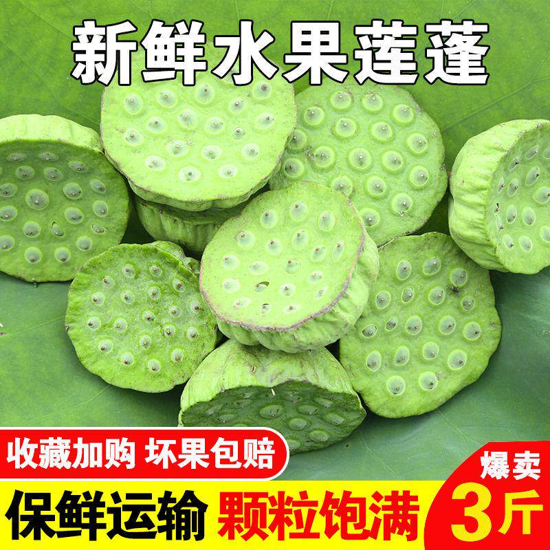 新鲜莲子生吃水果莲蓬现摘嫩莲米洪湖非湘莲应季孕妇水果脆甜鲜嫩