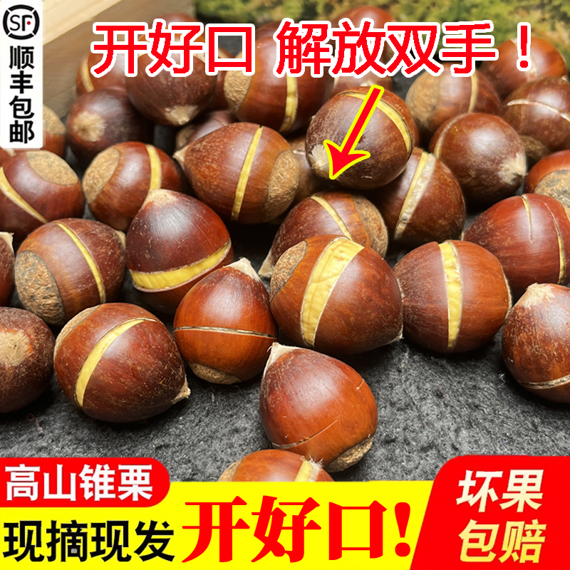 （开好口）板栗生新鲜建瓯锥栗油栗高山现摘带壳尖栗圆栗福建毛栗