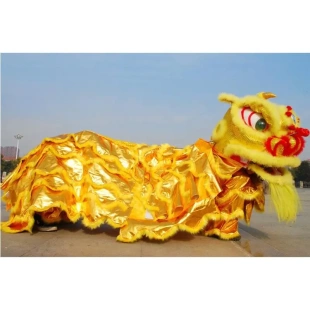 新款舞狮道具整套南狮双人舞狮子龙醒狮成人服装狮头套装