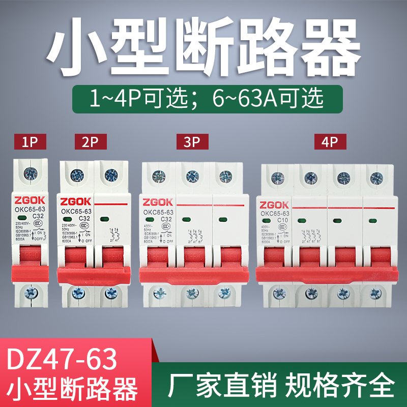 32安空气开关2P家用63a保护器电闸总空开开关1P 3P小型断Y路器DZ4