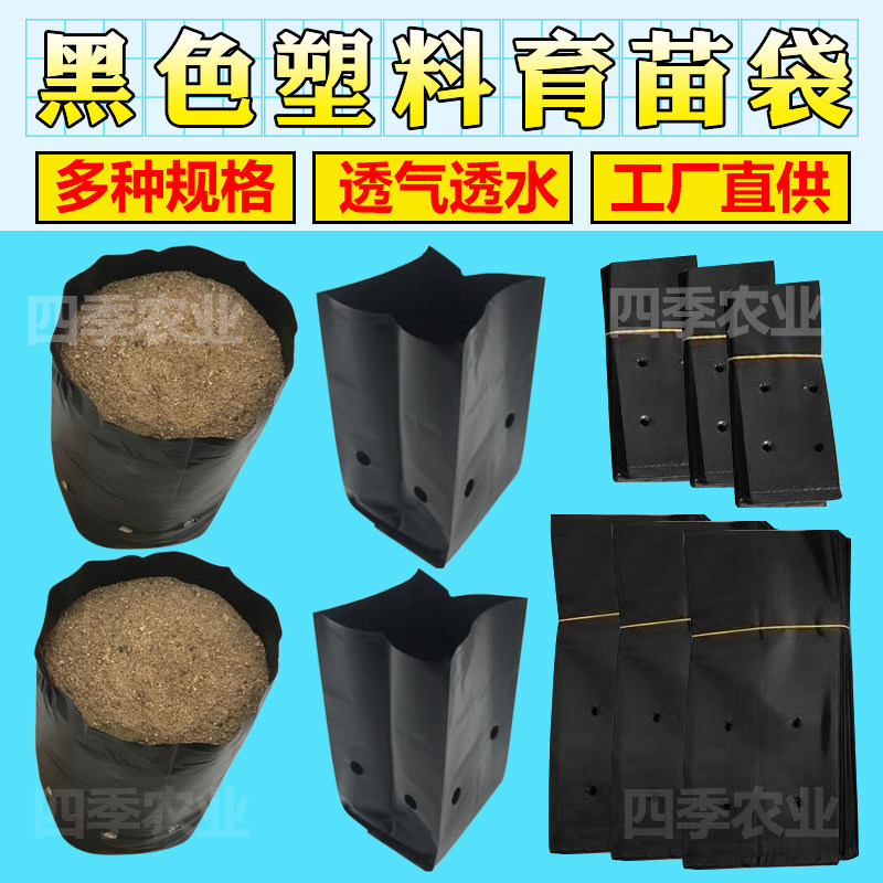 育苗袋槟榔咖啡黑色塑料育苗营养袋大号一次性移植黑色桉树种植袋