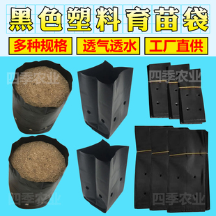 育苗袋槟榔咖啡黑色塑料育苗营养袋大号一次性移植黑色桉树种植袋