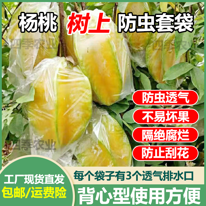 杨桃套袋大号杨桃防虫袋石榴专用袋水果套袋促生长透明保护薄膜袋
