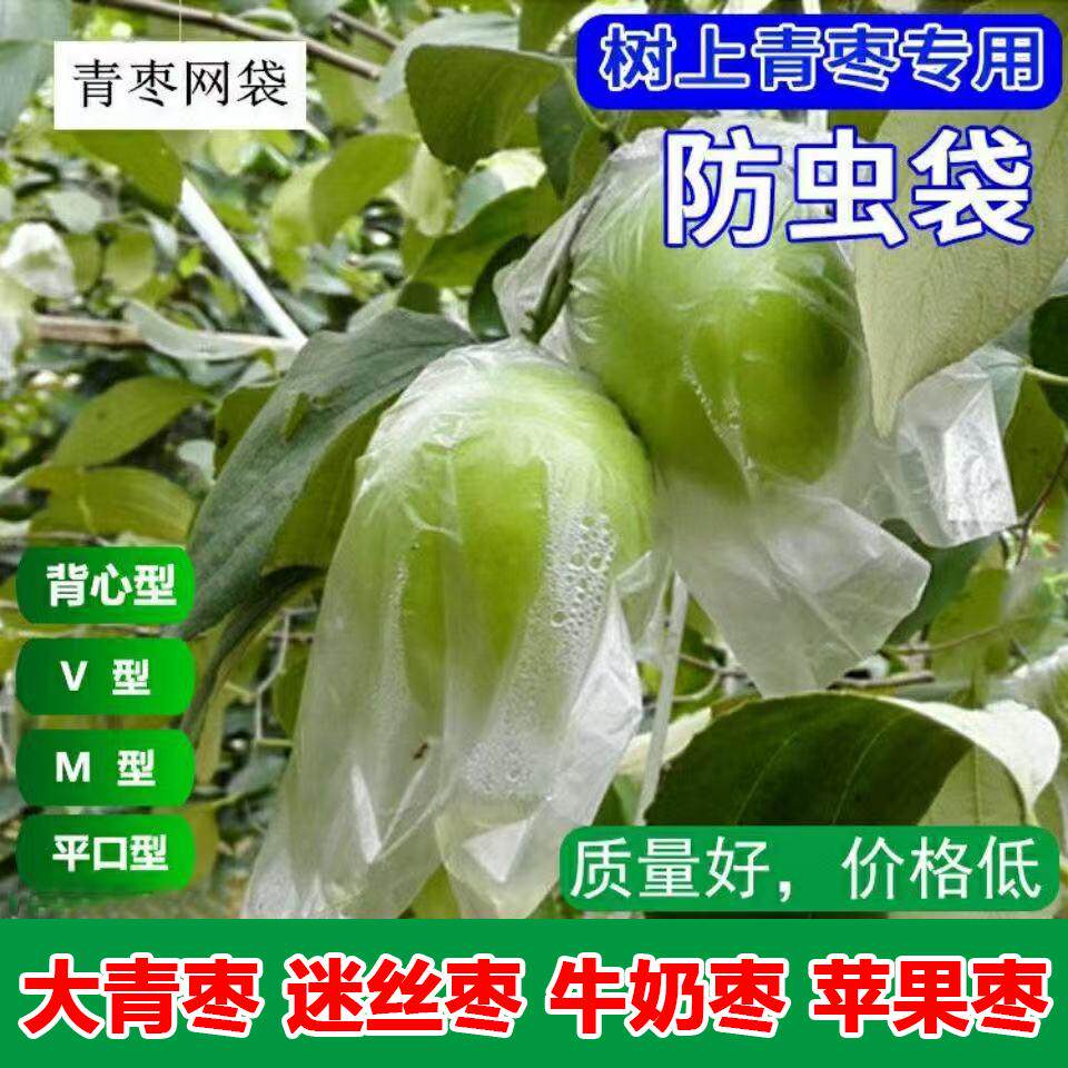 青枣套袋大青枣蜜丝枣专用防虫套袋薄膜套袋树上水果透明保护套袋