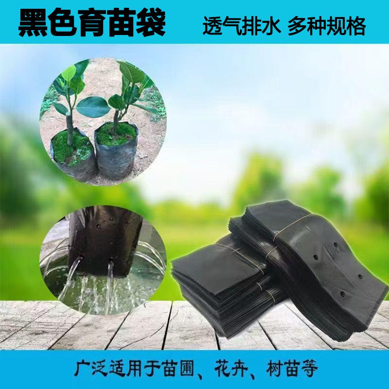 咖啡百香果槟榔育苗袋树苗营养袋