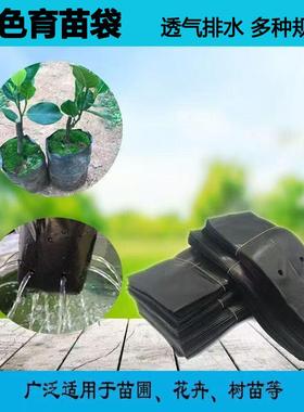 育苗袋咖啡槟榔黑色塑料育苗袋营养钵营养袋树苗专用一次性种植袋