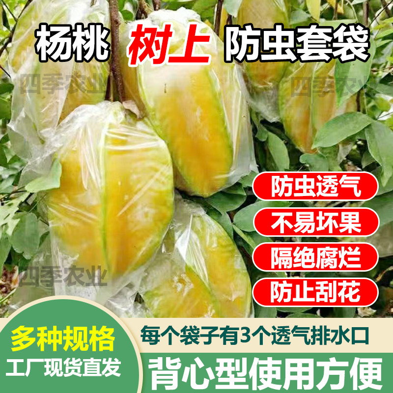 杨桃套袋杨桃防虫袋大号石榴专用袋水果套袋促生长透明保护薄膜袋,鲜花速递/花卉仿真/绿植园艺,其它园艺用品,淘宝优惠券,粉丝福利购,淘宝优惠卷