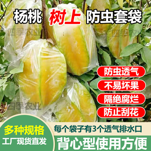 杨桃套袋杨桃防虫袋大号石榴专用袋水果套袋促生长透明保护薄膜袋