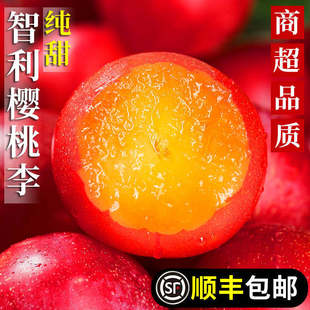 智利樱桃李进口新鲜珠宝李应当季水果进口李子西梅恐龙蛋大果整箱