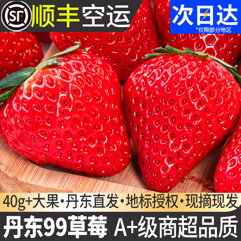 【900g】丹东99新鲜草莓