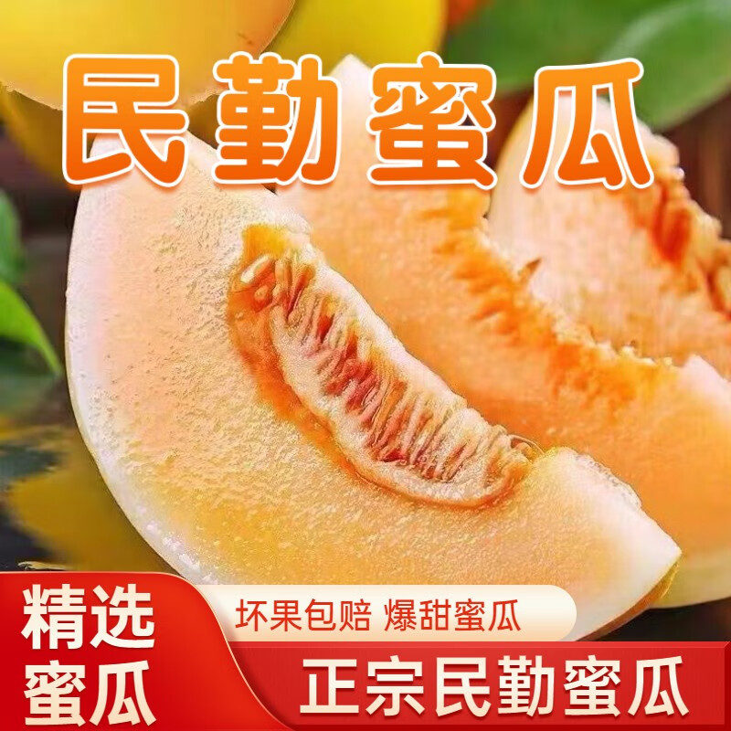 甘肃民勤蜜瓜沙漠黄金瓜产地包邮