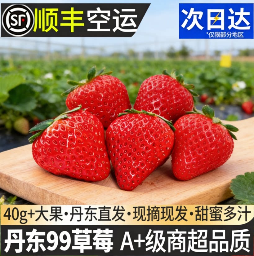 丹东99草莓牛奶新鲜辽宁官方旗舰店红颜超大久久孕妇应当季水果