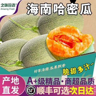 哈密瓜海南新鲜网纹蜜瓜礼盒官方旗舰店玫珑西州蜜瓜香甜整箱包邮