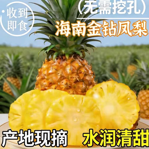轻食搭配海南金钻凤梨脆甜多汁