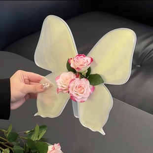 饰极光小众花器透明 创意蝴蝶花瓶亚克力高颜值轻奢居家桌面摆件装